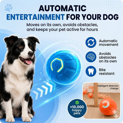 VeluroPaw Smart Ball That Jumps By Itself