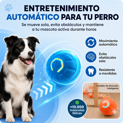 VeluroPaw Smart Ball That Jumps By Itself
